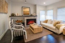 30" Traditional Xtraslim Electric Fireplace Insert -Dimplex Shop 7 107