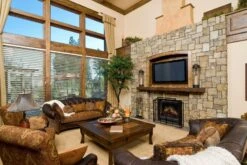 Dimplex 23" Deluxe Fireplace Insert - DFI2310 -Dimplex Shop b7rXu9dg