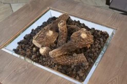 42" Mocha Sierra Outdoor Fire Pit Table -Dimplex Shop cf20 log set with lav blk 1 06